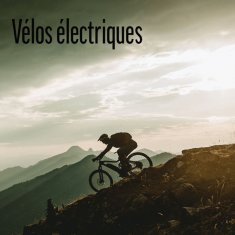 Vélos électriques